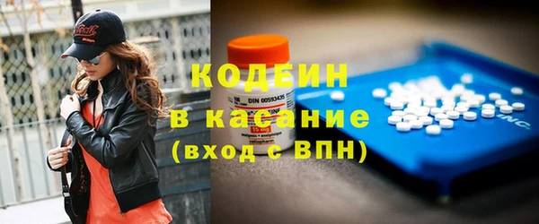 сатива Иннополис