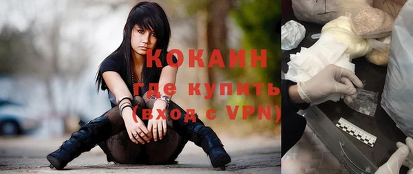 сатива Иннополис