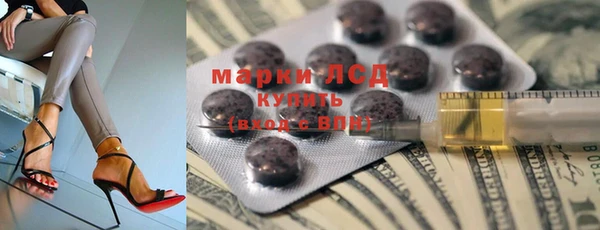 сатива Иннополис