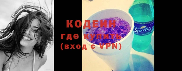 сатива Иннополис