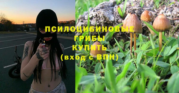 сатива Иннополис