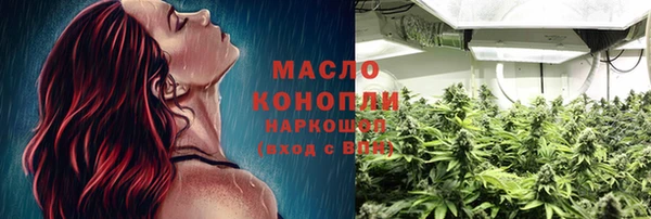 сатива Иннополис